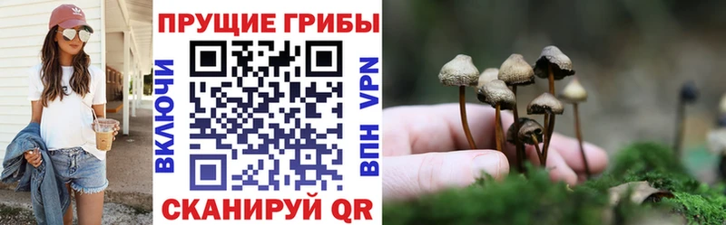 сколько стоит  KRAKEN как войти  Галлюциногенные грибы MAGIC MUSHROOMS  Белинский 